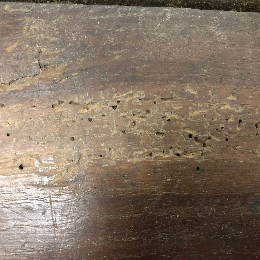 How to spot woodworm on your furniture