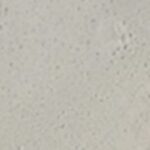 Osmo Wood Filler White