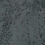 Osmo Wood Filler Grey