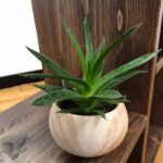 Shelving Unit - Osmo Oil Stain 3564 Tobacco