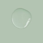 Duck Egg Blue Annie Sloan Chalk Paint