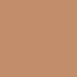 E55 - TERRA FIRMA