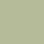 W117 - CUCUMBER