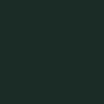 W120 - SANZU RIVER