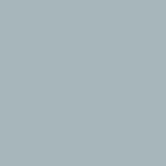 W96 - BLUE BADIS