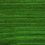 Osmo 729 Fir Green